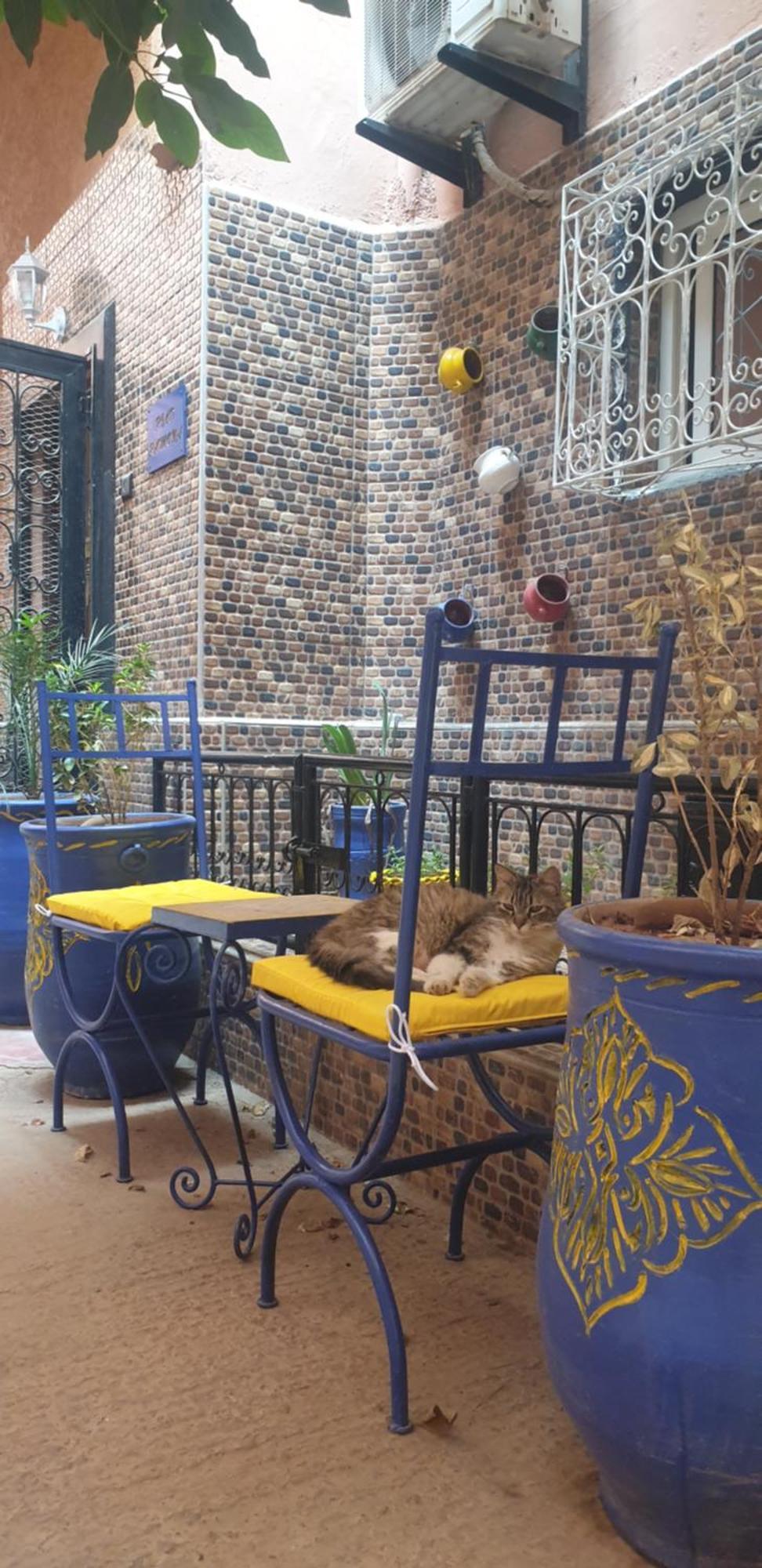 Riad Ramona Lqariya Seyaheya مراكش المظهر الخارجي الصورة